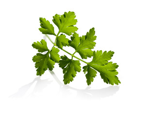 parsley leaves