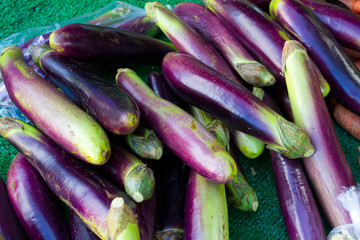 Japanese Eggplant