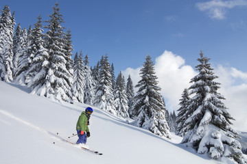 Fototapeta na wymiar child skiing in powder snow in beautiful weather