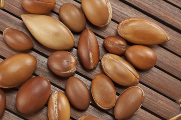 seeds of argan,Morocco plant for cosmetic