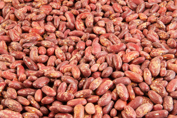 Dried kidney red haricot beans background