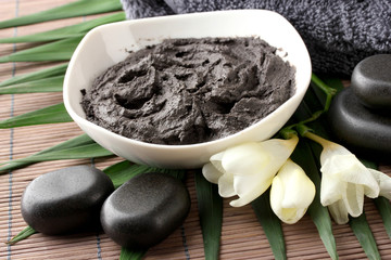 Composition with cosmetic clay for spa treatments,