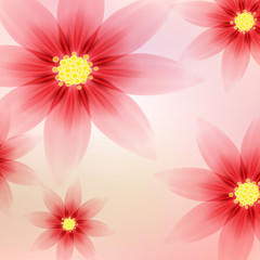 Romantic floral background