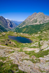 Laghetto alpino - Valle Stura