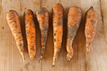 carottes
