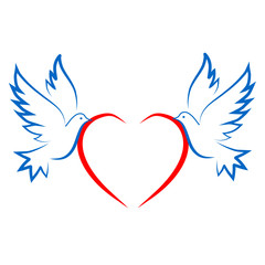 Obraz premium голубь2