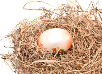 Nest with easter egg isolated over white background