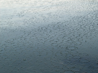 Вода, покрытая тонким льдом