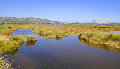 San Teodoro pond