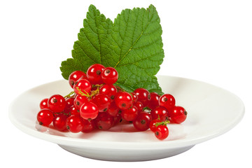 redcurrant