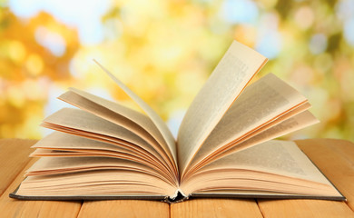Opened book on bright background