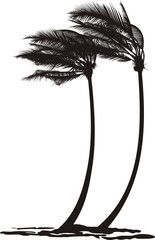 Palm trees in the wind
