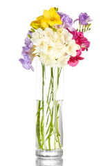 Beautiful bouquet of freesias in transparent vase, isolated