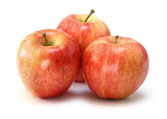 gala apples