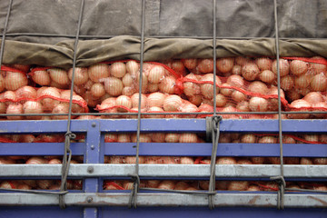 Transporting onions