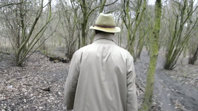 Walking through the woods