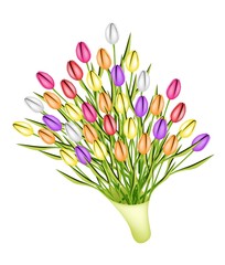 Beautiful Fresh Tulip Bouquet on White Background