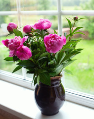 peony flowers on widnow-sill