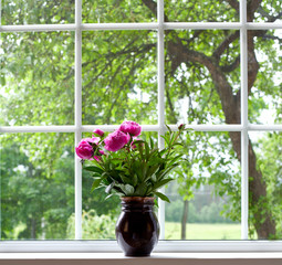 peony flowers on widnow-sill