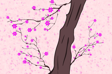 Cherry Blossoming Springtime Illustration Rotating Flowers