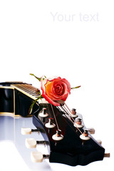 Black guitar and rose.