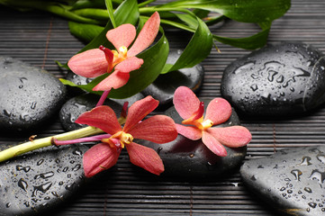 back stones and orchid with bamboo leaf on mat