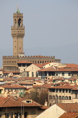 Fototapeta na wymiar Panorama of Florence. Italy