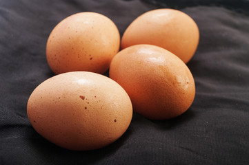 egg