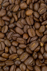 Kaffeebohnen