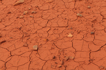 Dried out soil texture