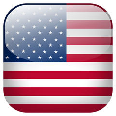 usa flag button