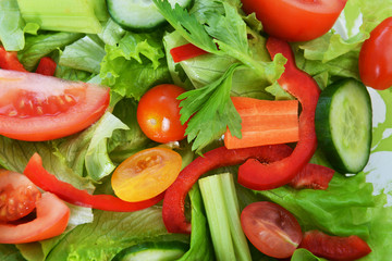 salad with vegetable