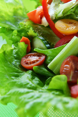 salad with vegetable