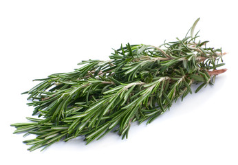 Rosemary herb