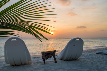 Palm Tree  Sunset