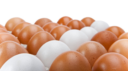Eggs