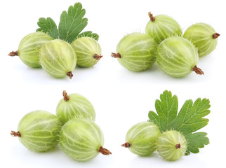 Set of green gooseberry fruit isolated on white
