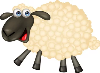 Foto auf Acrylglas Bauernhof Süße Schafe Cartoon