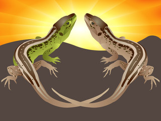 Couple of lizards