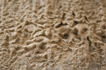 Sandstone background with wrinkle surface