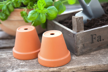 Gartenzeit V