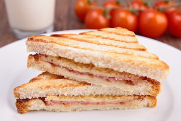 grilled sandwich toast