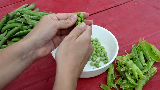 female woman hand pod green pea white dish wooden table