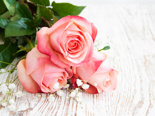 Pink roses