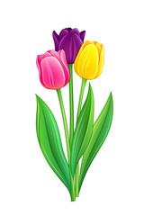Bouquet of tulips - eps10 vector illustration