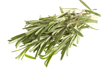 Fototapeta premium Rosemary