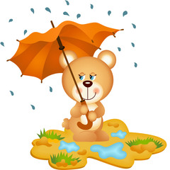 Teddy Bear Under Umbrella