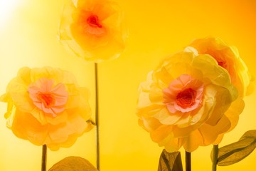 Fototapeta premium Many yellow flowers handmade from paper