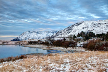 Fototapeta premium Winter Scenes