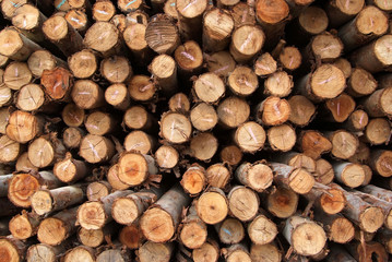 A pile of wood.
